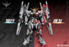 1/100 合金組裝 TC-02 永恆裁決 星恒【特典付き】【再販】