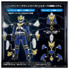 Toyrise AFR-01 龍劍道
