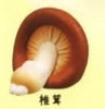 【616toys】 Qualia 轉蛋 廢宅蔬菜2 (全6種) 40