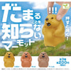 轉蛋 不安靜土撥鼠 (全3種)